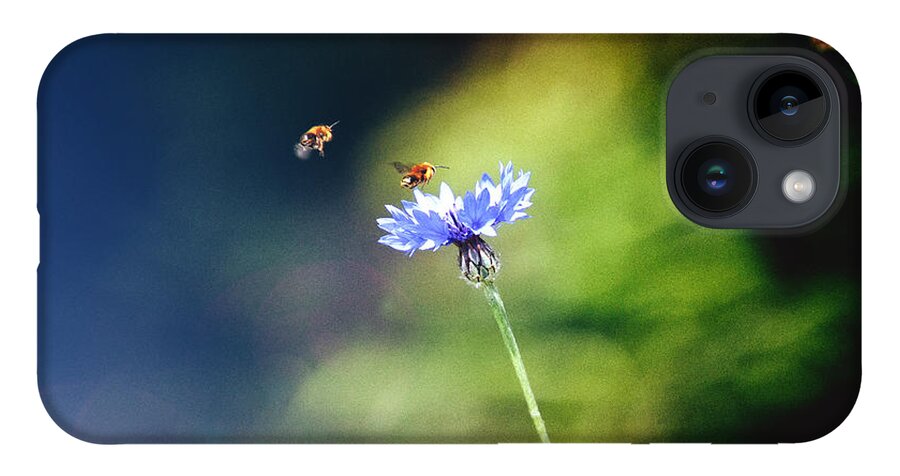 Common Cornflower iPhone 14 Case featuring the photograph Life in the meadow by Jaroslav Buna