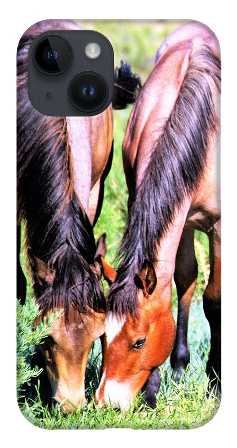 Horses iPhone 14 Case featuring the photograph Meal Sharing by Merle Grenz