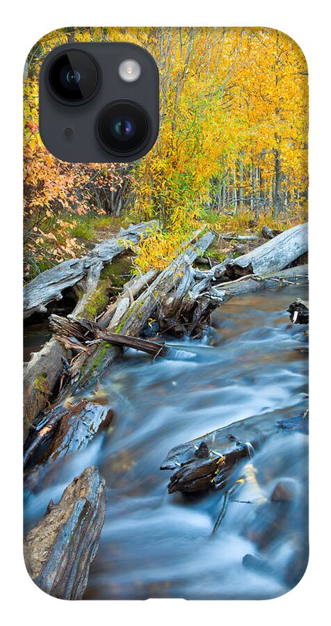 Nature iPhone 14 Case featuring the photograph Meditation by Jonathan Nguyen