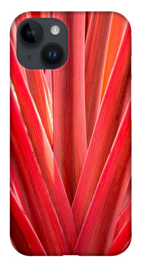 Plants iPhone 14 Case featuring the photograph Middle Man by Derek Dean