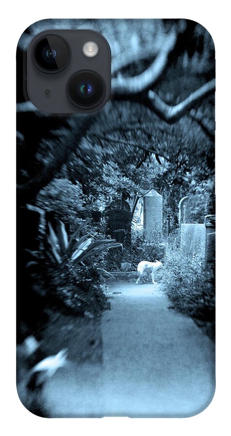 White Wolf Graveyard Overhanging Trees Oak Live Overgrown Blue Cyan Midnight Animal Mysterious Haunted Haunting Tombstones Graves Gravestones Path Selected Focus Scary Dark iPhone 14 Case featuring the photograph Midnight Wolf in the Cemetery by Jennifer Wright