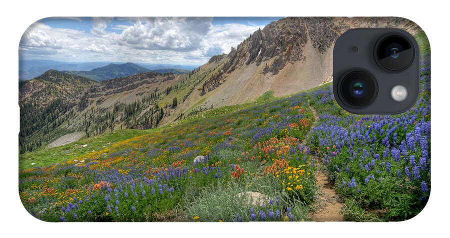 Wildflower iPhone Case featuring the photograph Mineral Basin Wildflowers by Brett Pelletier