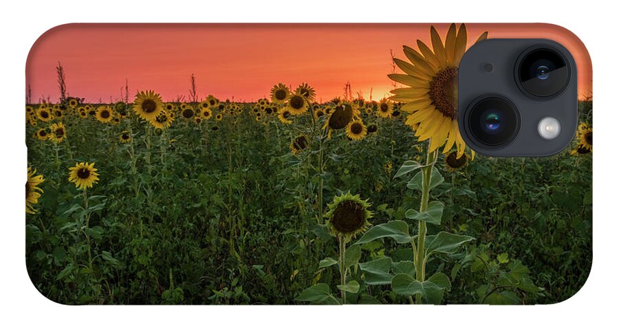 Sunset iPhone 14 Case featuring the photograph Missouri Sunset by Holly Ross
