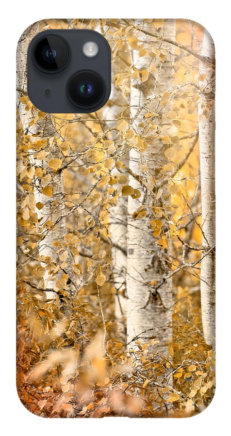 Country iPhone 14 Case featuring the photograph Misted by Beve Brown-Clark Photography