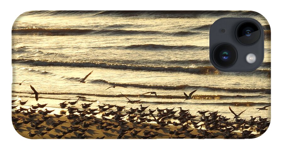 Coastal Birds iPhone 14 Case featuring the digital art Momentous by Jan Gelders