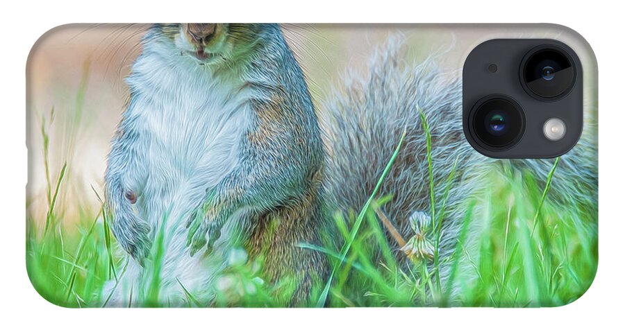 Mammal iPhone 14 Case featuring the photograph Momma Squirrel by Cathy Kovarik