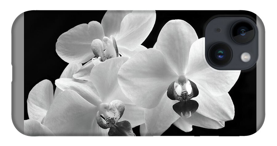 Orchid iPhone 14 Case featuring the photograph Monochrome Orchid by Terence Davis