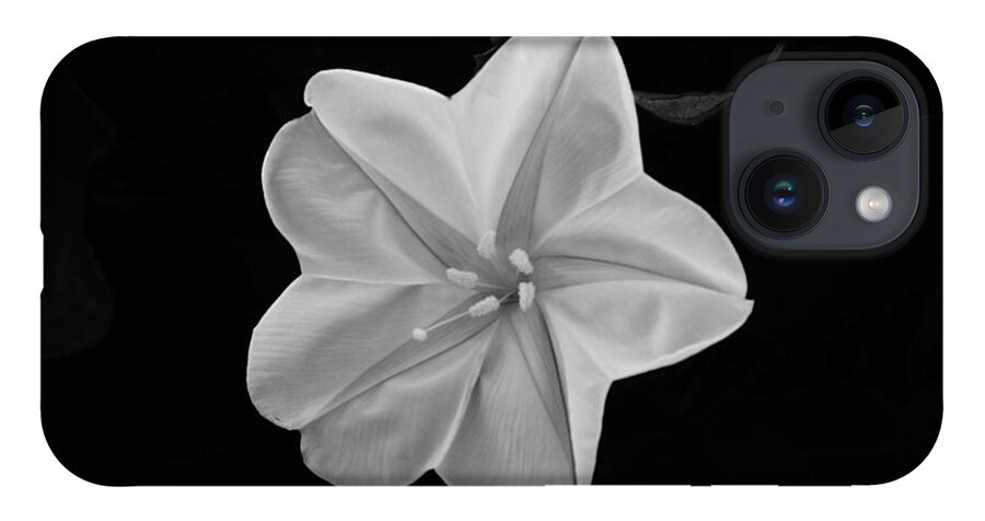 Flower iPhone 14 Case featuring the photograph Moon Flower by Lawrence S Richardson Jr