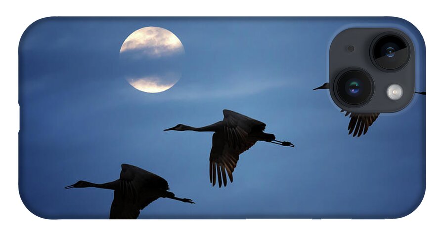 Sandhill Crane iPhone 14 Case featuring the photograph Moonlit Flight by Susan Rissi Tregoning