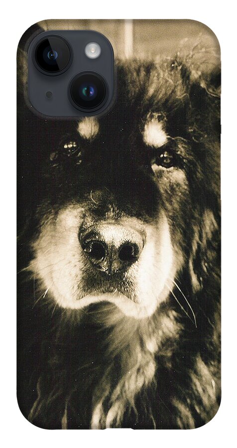 Dogs iPhone 14 Case featuring the photograph Moose Portrait by Sandra Dalton