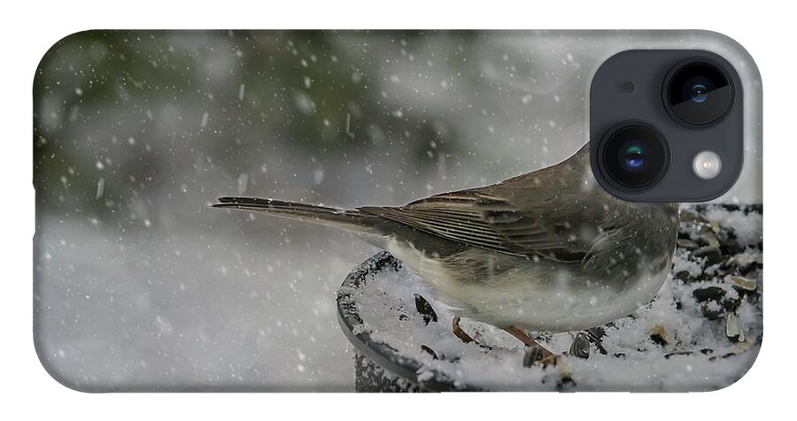 Bird iPhone 14 Case featuring the photograph More Snow? by Cathy Kovarik