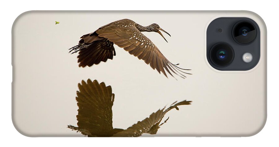 Limpkin iPhone 14 Case featuring the photograph Morning Reflection by Artful Imagery