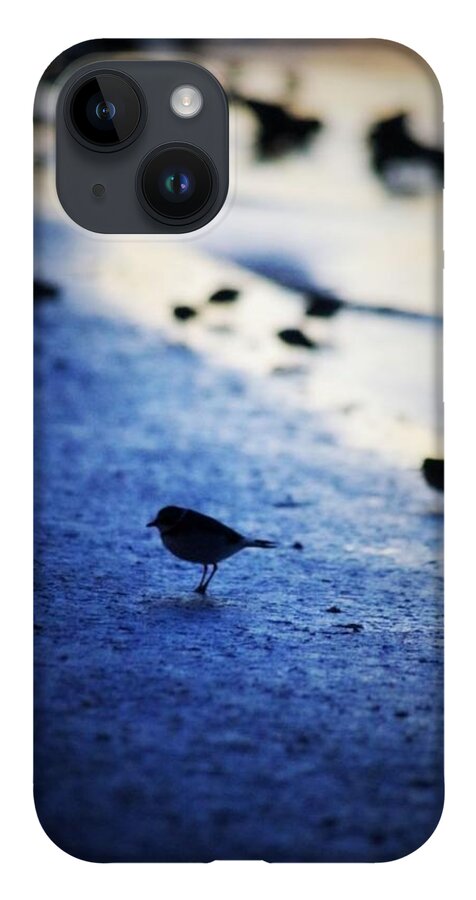 Bird iPhone 14 Case featuring the photograph Morning by Stoney Lawrentz