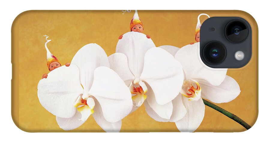 Triplets iPhone Case featuring the photograph Moth Orchid by Anne Geddes