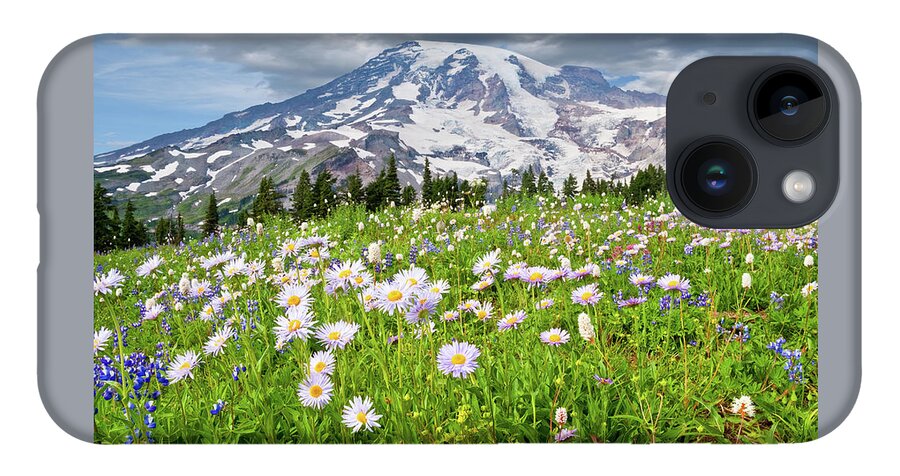 Alpine iPhone 14 Case featuring the photograph Mount Rainier and a Meadow of Aster by Jeff Goulden