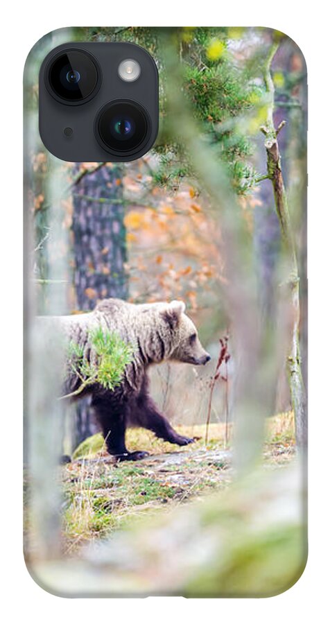 Moving Bear iPhone 14 Case featuring the photograph Moving Bear by Torbjorn Swenelius