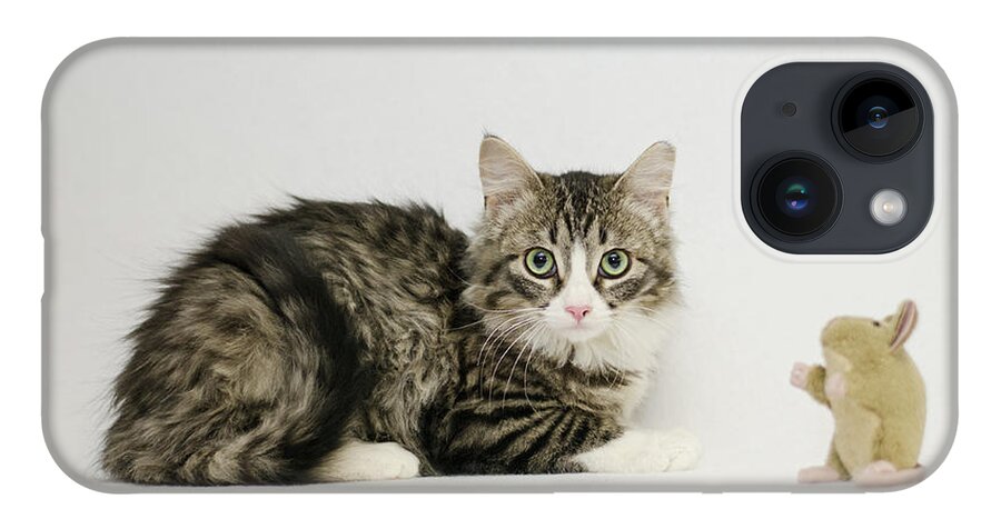 David Schultz iPhone Case featuring the photograph Ms Alexia and mouse by Irina ArchAngelSkaya