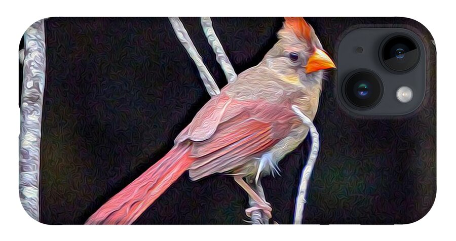 Nature iPhone 14 Case featuring the painting Female Cardinal by DB Hayes