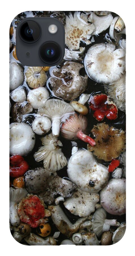Art iPhone 14 Case featuring the painting Mushrooms in Thailand by Jeremy Holton
