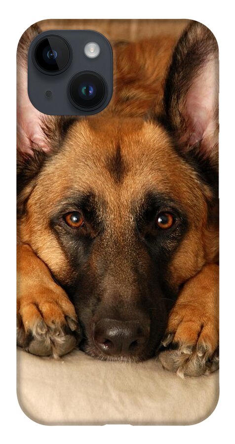 German Shepherd Dogs iPhone 14 Case featuring the photograph My Loyal Friend by Angie Tirado