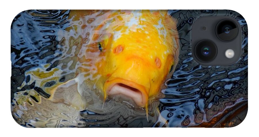 Koi iPhone 14 Case featuring the photograph Helloooo...... by Jimmy Chuck Smith