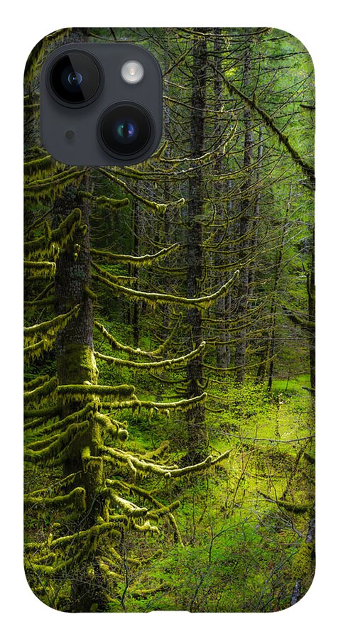 Oregon iPhone 14 Case featuring the photograph Mystique by Chuck Jason