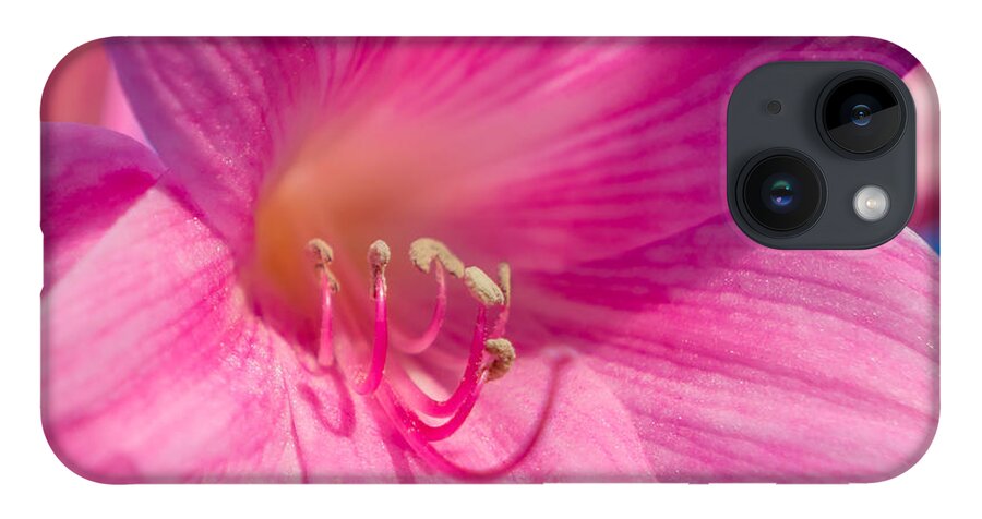 Flower iPhone 14 Case featuring the photograph Naked Lady by Derek Dean