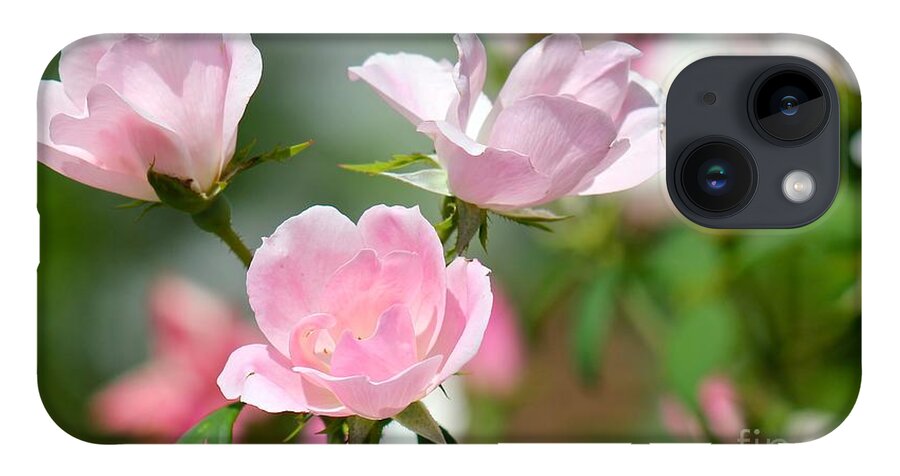 Pink iPhone Case featuring the photograph Nature's Beauty #1 by Deena Withycombe