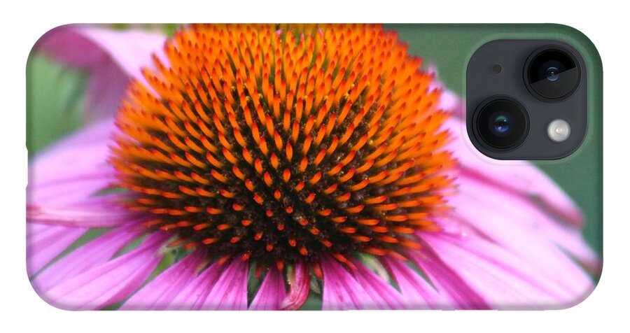 Pink iPhone 14 Case featuring the photograph Nature's Beauty 74 by Deena Withycombe