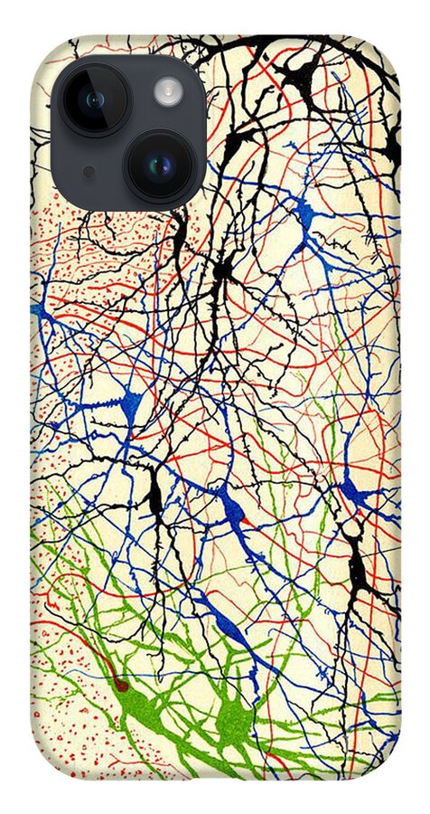 History iPhone Case featuring the photograph Nerve Cells Santiago Ramon y Cajal by Science Source