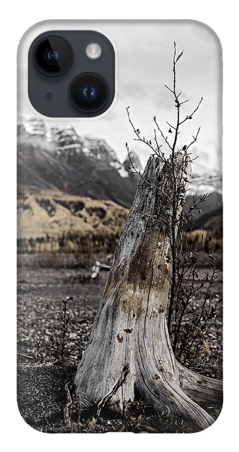 Tree iPhone 14 Case featuring the photograph Nizina River Tree Stump by Fred Denner