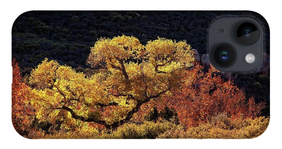 Fall iPhone 14 Case featuring the photograph November in Arizona by Ron Chilston