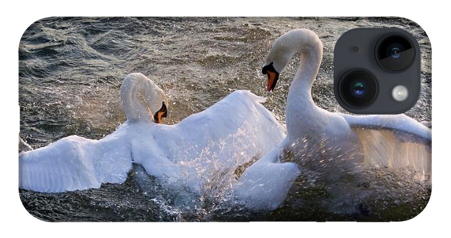 Swans iPhone 14 Case featuring the photograph Nuptial dance by Tatiana Travelways
