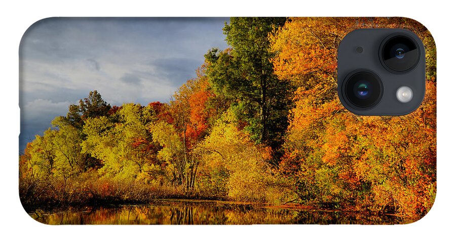 October iPhone Case featuring the photograph October Foliage by Lilia D