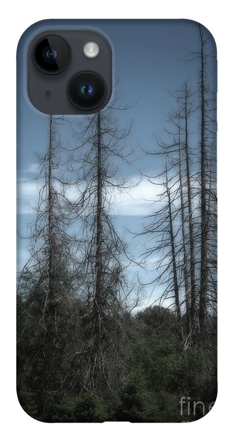 Trees iPhone 14 Case featuring the photograph Old Guard by David Hillier