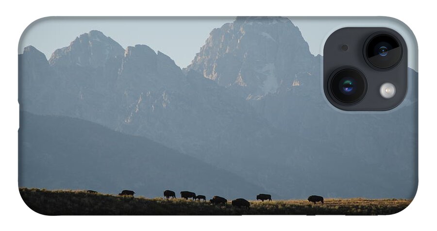 Buffalo iPhone 14 Case featuring the photograph On the Ridge by Jim Goodman
