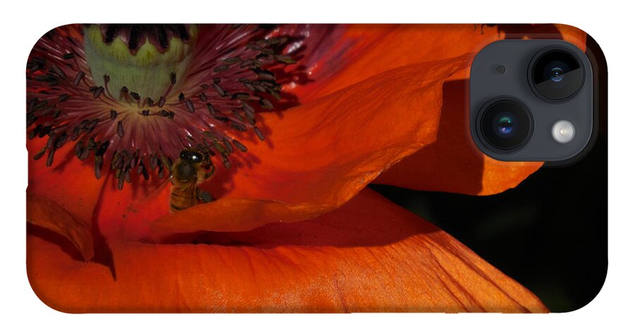 Poppies iPhone 14 Case featuring the photograph One Poppy and a Bee by Jill Westbrook