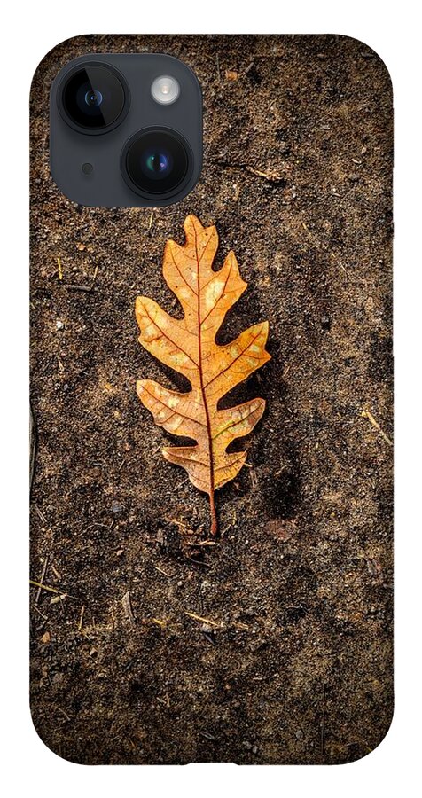 Oak iPhone 14 Case featuring the photograph Only Oak by Michael Brungardt