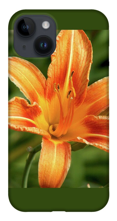 Lily iPhone Case featuring the photograph Orange Delight by Lisa Blake