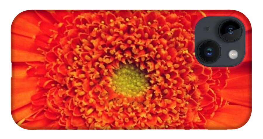 Flower iPhone 14 Case featuring the photograph Orange for Andy by Denise Railey