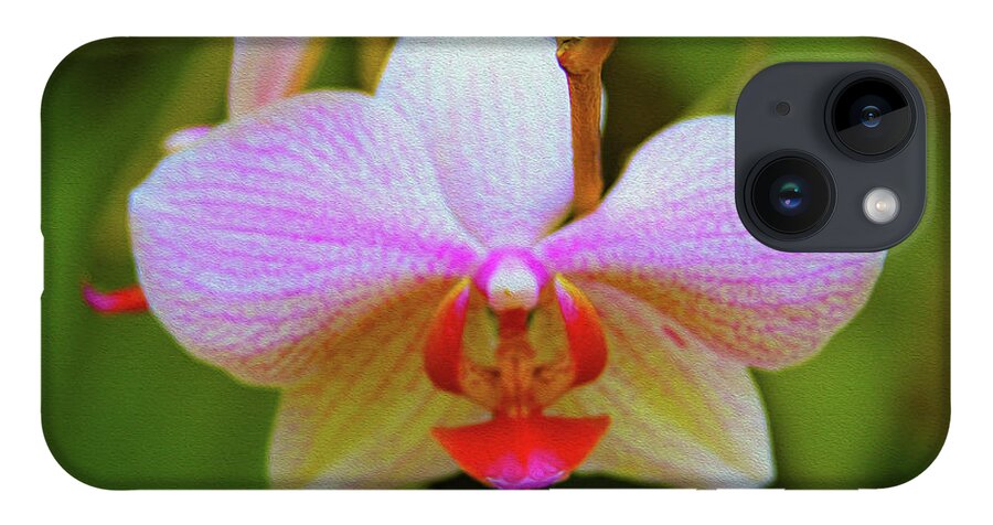 Bonnie Follett iPhone Case featuring the photograph Orchid Blush by Bonnie Follett