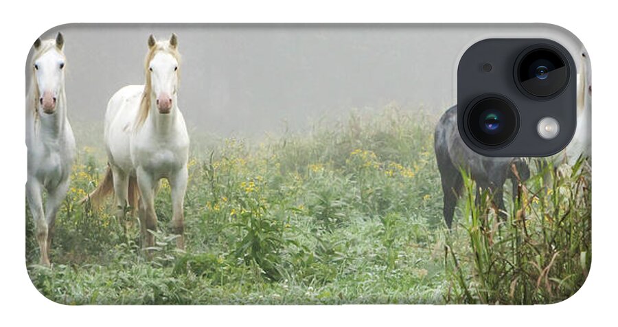 Wild Horses iPhone 14 Case featuring the photograph Out of the Mist, 2 by Holly Ross