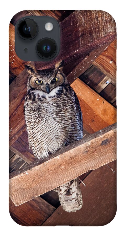 Animals iPhone 14 Case featuring the photograph Owl in a Barn by Rikk Flohr