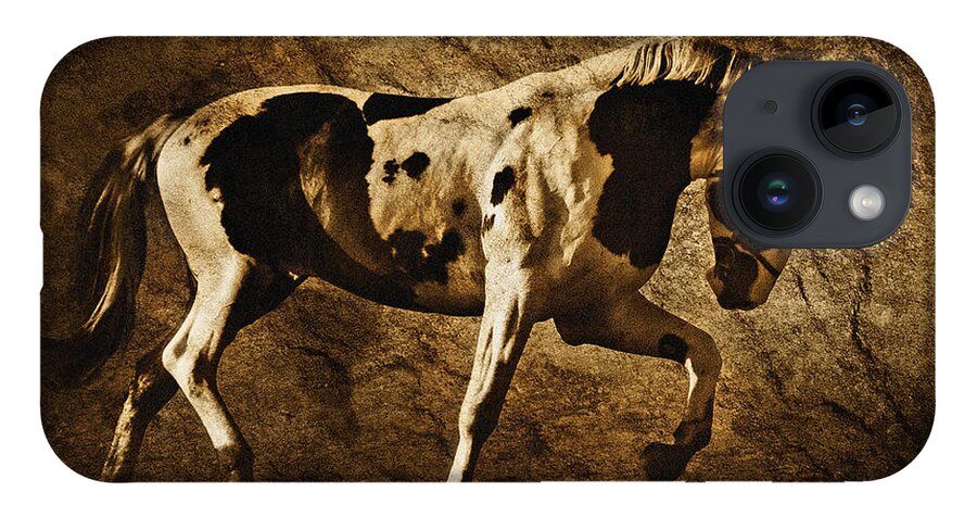 Horse iPhone Case featuring the photograph Paint horse by Dimitar Hristov