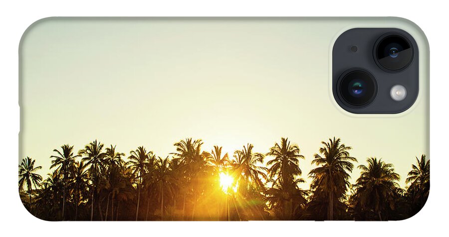 Surfing iPhone 14 Case featuring the photograph Palms And Rays by Nik West