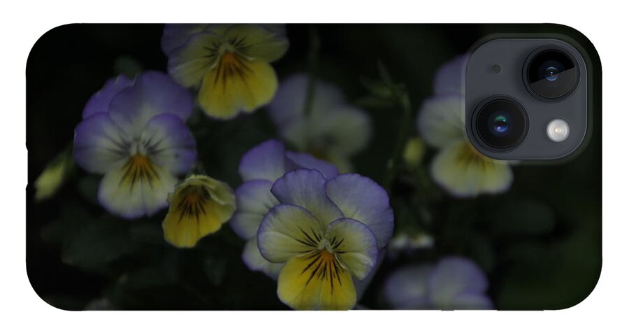 Pansies iPhone 14 Case featuring the photograph Pansy Flower Bouquet by Valerie Collins