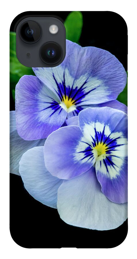 Greeting Card iPhone 14 Case featuring the photograph Pansy Portrait by Cathy Kovarik