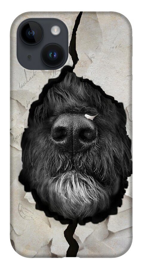 Dogs iPhone 14 Case featuring the photograph Paper Shredder by Robin-Lee Vieira