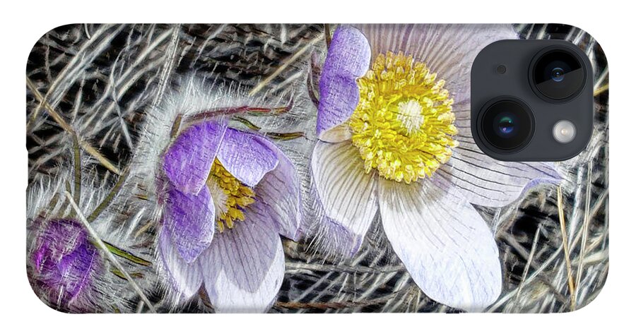Flowers iPhone 14 Case featuring the digital art Pasque Flower by Rebecca Langen