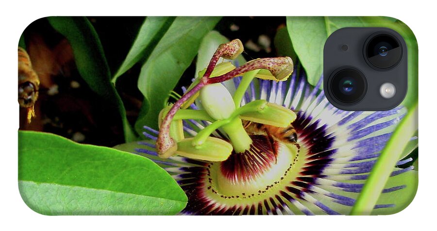 Passion Flower iPhone 14 Case featuring the photograph Passion Flower by Allen Nice-Webb